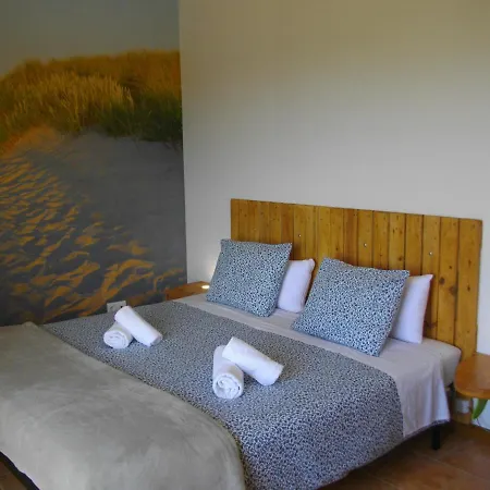 Rex Surf House * 阿雷亚布兰卡