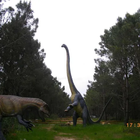 Rex Surf House Semesterbostad