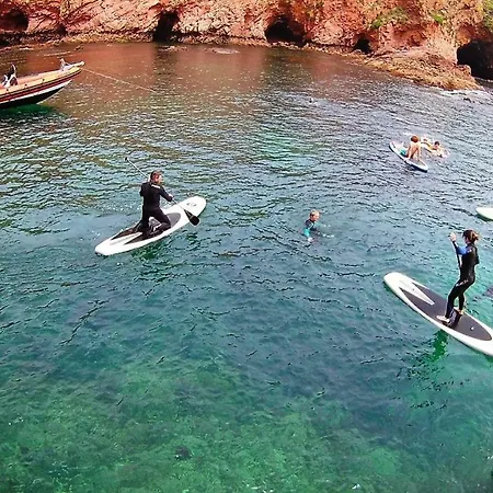 Rex Surf House * 阿雷亚布兰卡