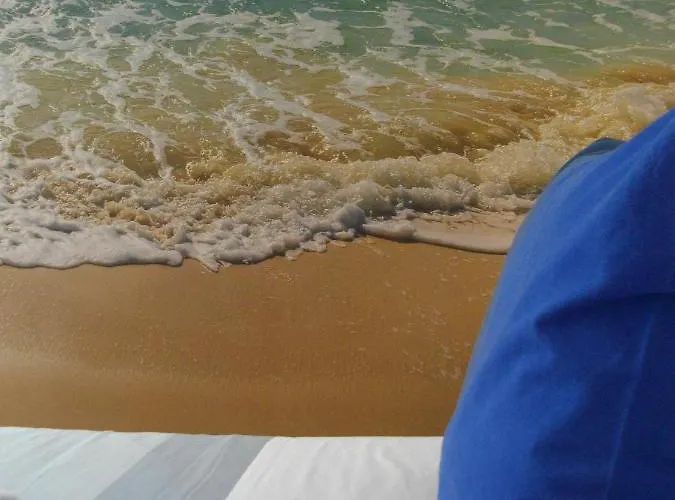 Casa de Férias Rex Surf House