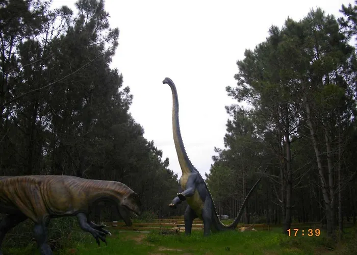 Rex Surf House Casa de Férias